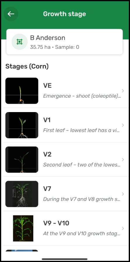List_of_available_growth_stages.png
