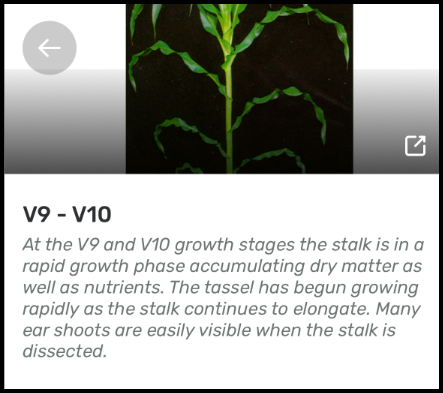Growth_stage_inforation_page.png