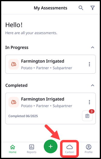 3. Carbon Button.png
