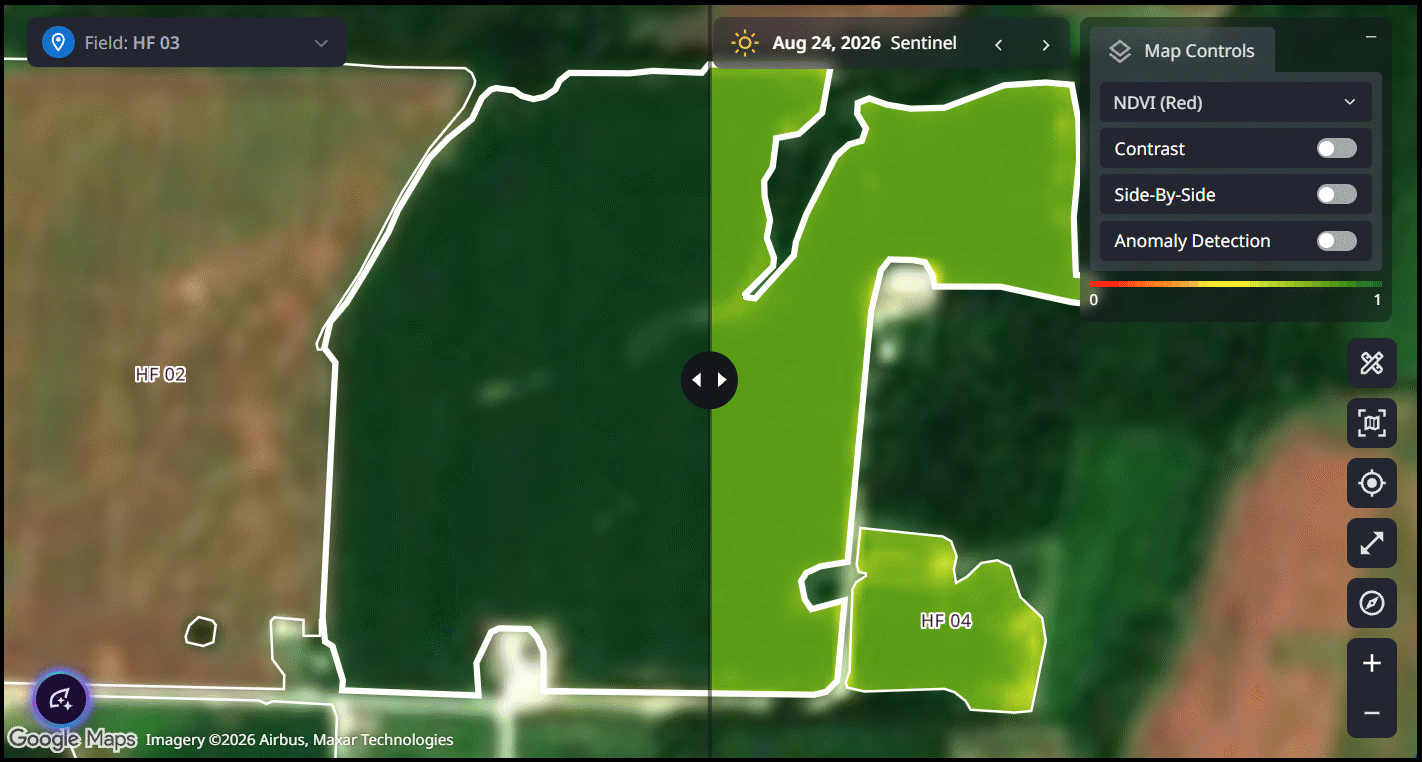 4. Side-By-Side View.gif